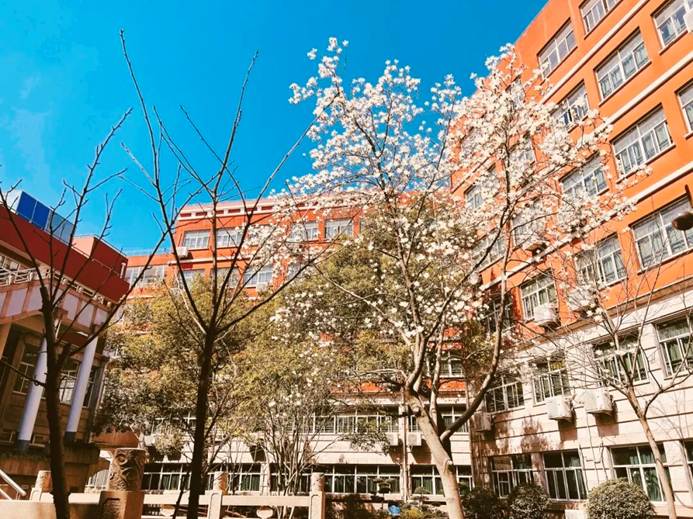 汇点法高招生简章 - 第2张